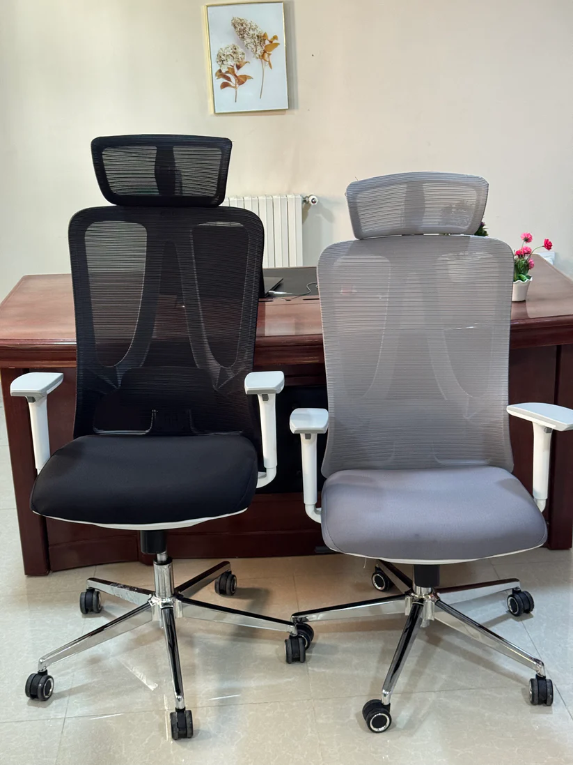 Chaise Ergoonmiqie Prestige