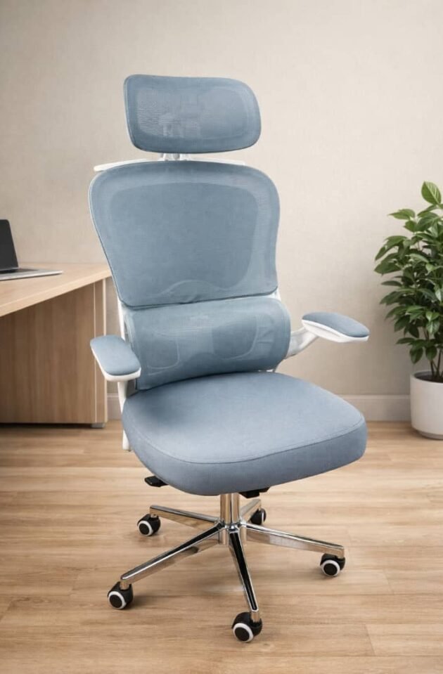 Chaise Ergonomique Royaume
